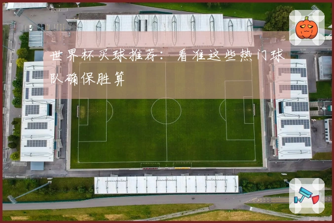 世界杯买球推荐：看准这些热门球队确保胜算