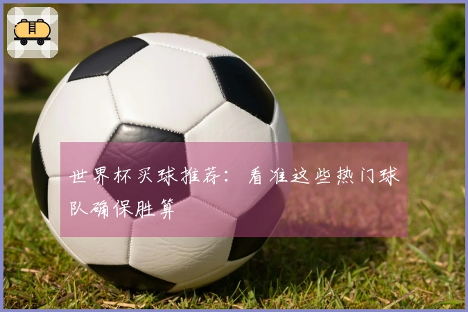 世界杯买球推荐：看准这些热门球队确保胜算